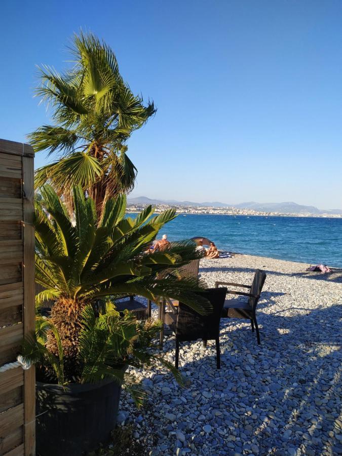 Studio Rez De Jardin Marina Baie Des Anges Villeneuve-Loubet Exteriör bild