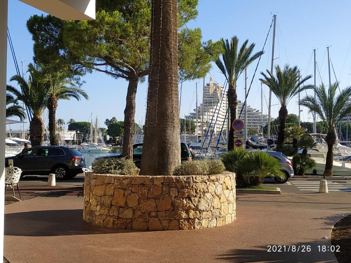Studio Rez De Jardin Marina Baie Des Anges Villeneuve-Loubet Exteriör bild